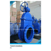 DIN F4 Series Ci Gg25 Cast Iron Gate Valve